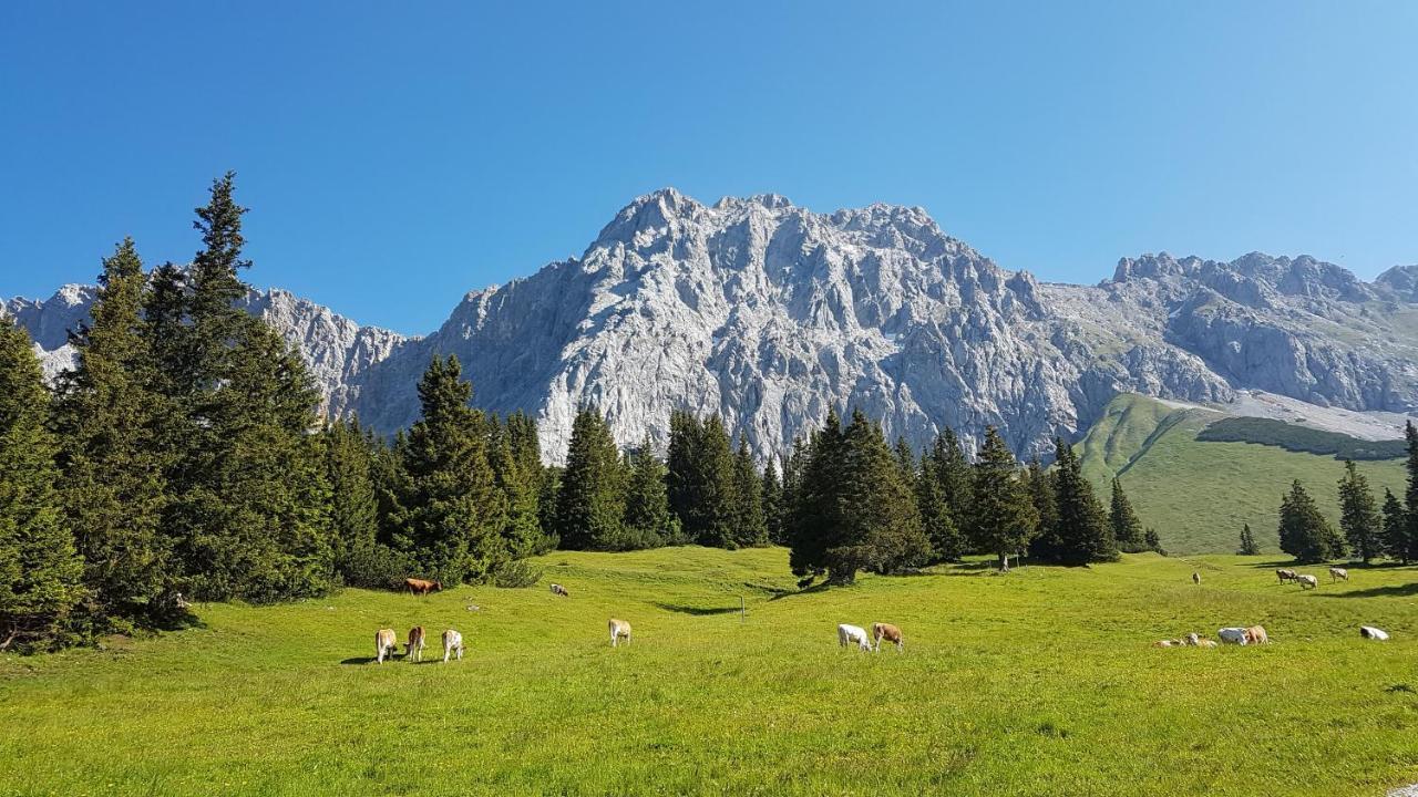 Alpenpanorama Ohlstadt