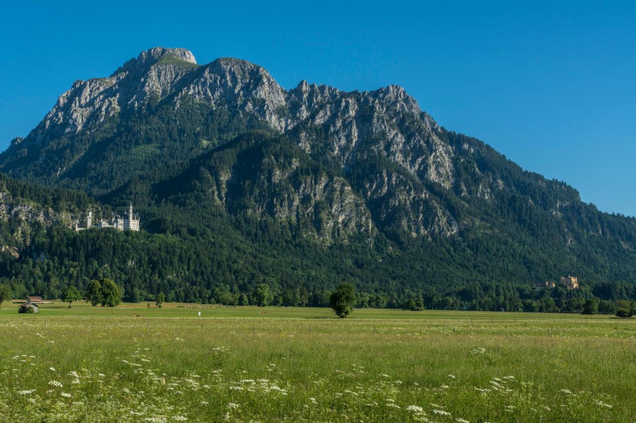 Alpenpanorama *